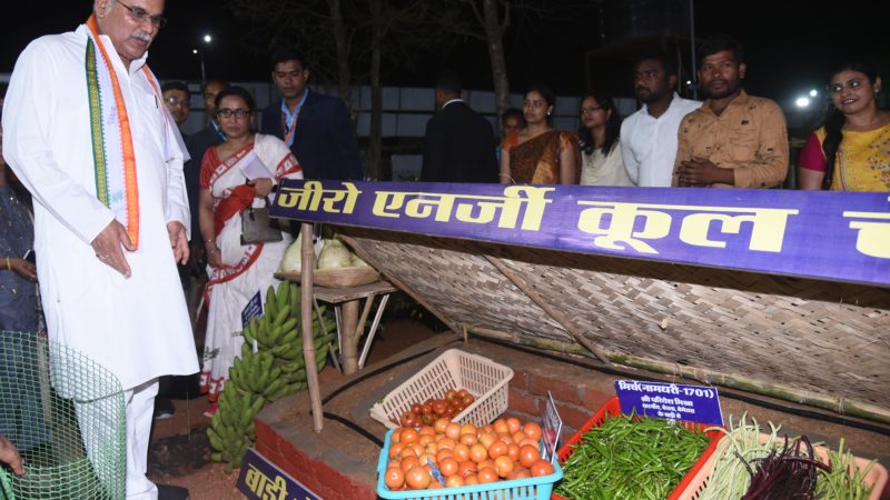 मुख्यमंत्री भूपेश बघेल ने राष्ट्रीय कृषि मेले में लगे स्टालों का किया अवलोकन