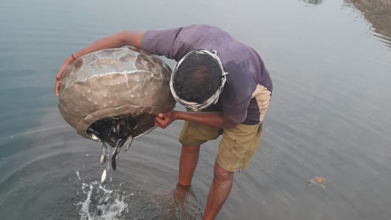 अनुपयोगी बंद पड़ी पत्थर खदानों में मछली पालन की अभिनव पहल