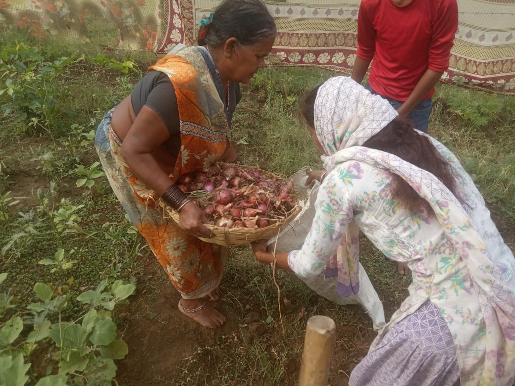 गोठान में लगाई सब्जी-भाजी लॉकडाउन में बना जीने का सहारा