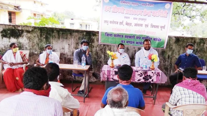 कांकेर के ईच्छापुर में लगेगा वनौषधि प्रसंस्करण संयंत्र