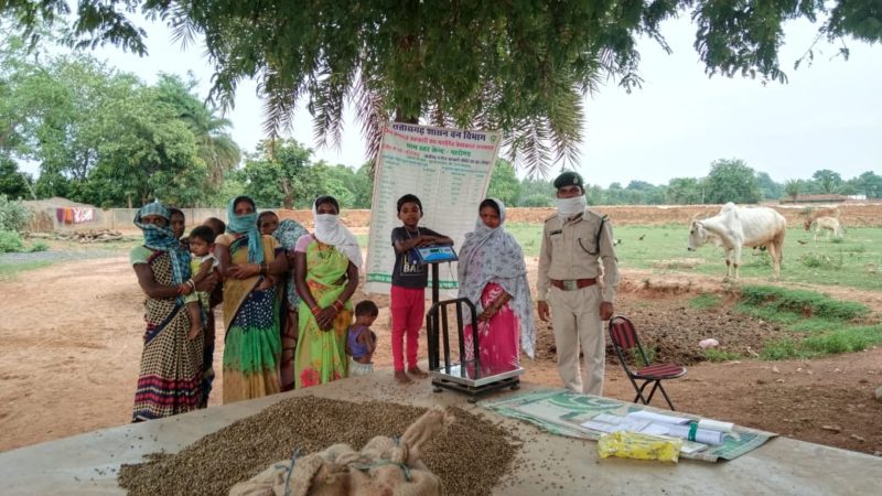 केशकाल तथा गरियाबंद वनमंडल में लक्ष्य के तिगुना से अधिक साल बीज का संग्रहण