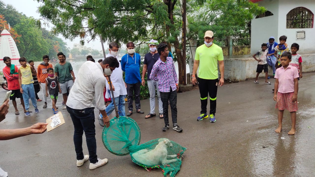 रायपुर पश्चिम विधायक श्री विकास उपाध्याय जी ने आज अपने विधानसभा में आवारा कुत्तों के पकड़ने का चलवाया अभियान