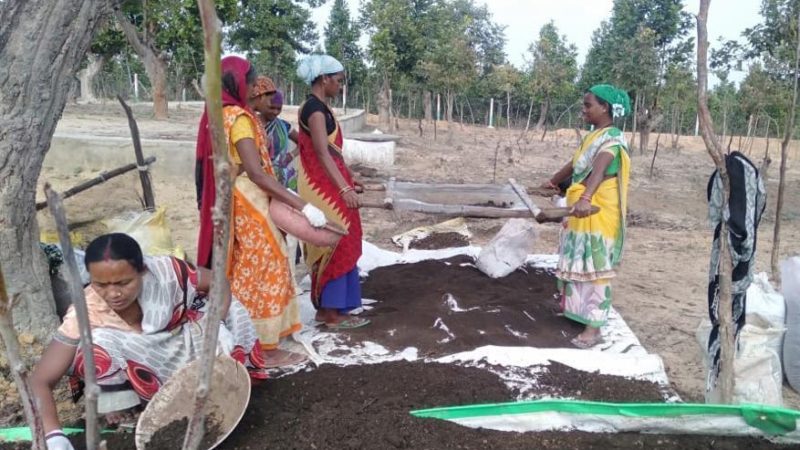 गोबर सहेज कर स्वावलंबन की उड़ान भर रहीं महिलाएं….वर्मी कपोस्ट बना लाखों का कारोबार