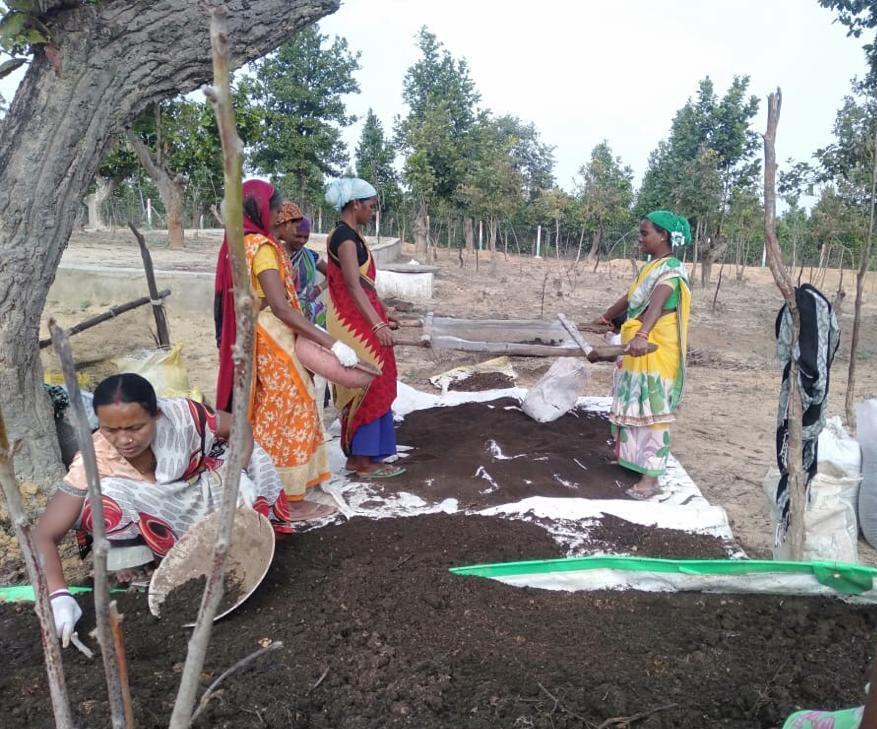 गोबर सहेज कर स्वावलंबन की उड़ान भर रहीं महिलाएं….वर्मी कपोस्ट बना लाखों का कारोबार