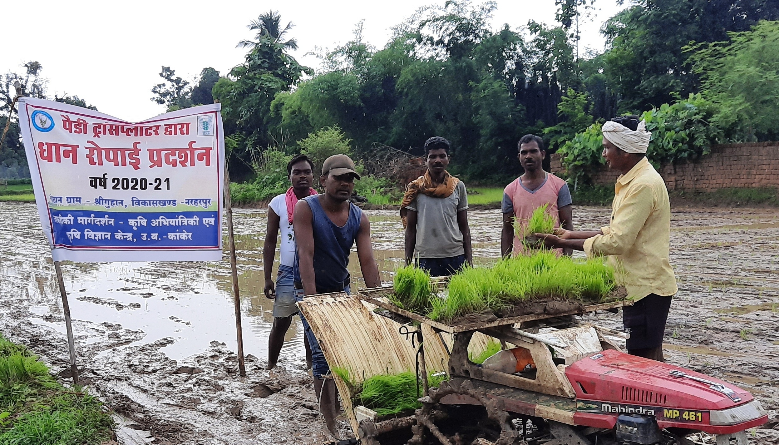 पैडी ट्रांसप्लांटर से धान रोपाई हुई आसान