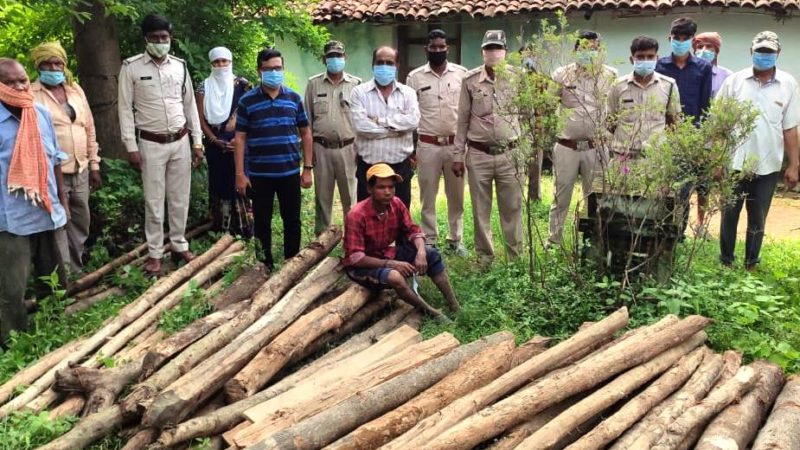 सागौन के 76 नग चिरान जप्त….वन विभाग द्वारा अभियान लगातार जारी