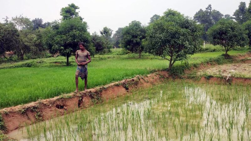 वन अधिकार पट्टे ने खोला बिरहोर केंदाराम के लिए तरक्की का रास्ता