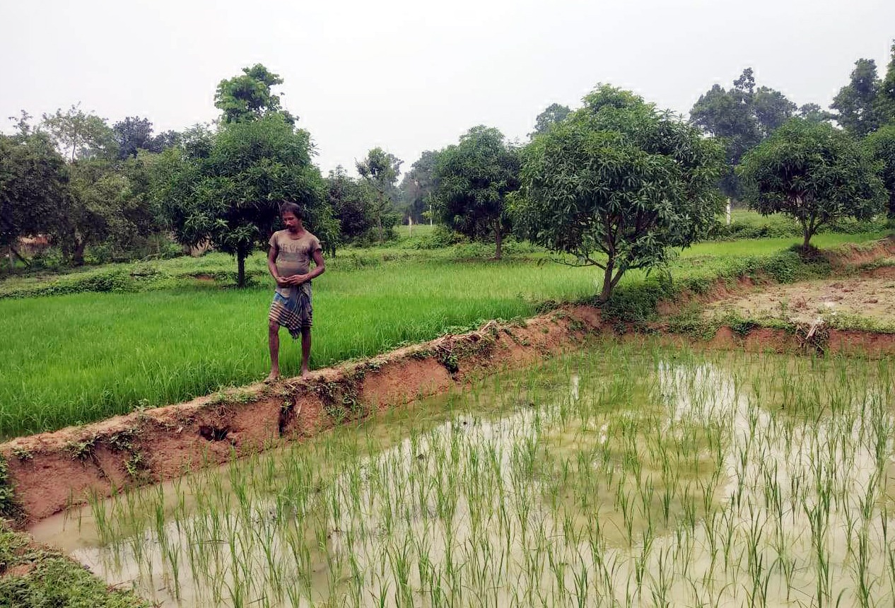 वन अधिकार पट्टे ने खोला बिरहोर केंदाराम के लिए तरक्की का रास्ता