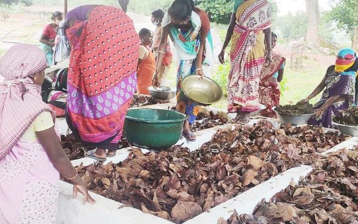 गोधन न्याय योजना से गांवों में उत्साह 