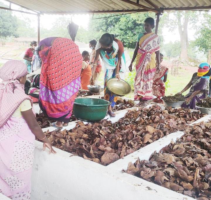 गोधन न्याय योजना से गांवों में उत्साह 