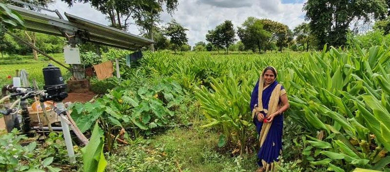 हल्दी की खेती से आर्थिक तरक्की की ओर अग्रसर बिहान समूह की महिला कृषक प्रीति