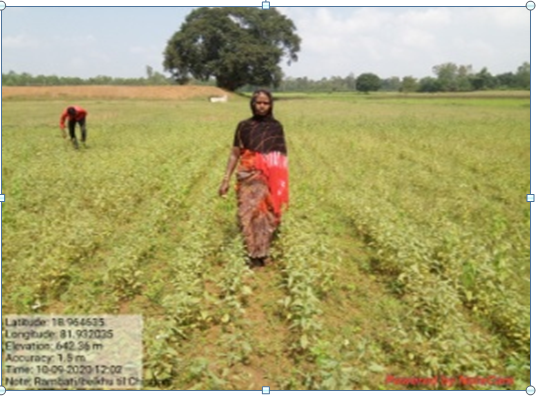 राज्य सरकार की जनकल्याणकारी योजना से स्वावलंबी हो रहीं महिला कृषक