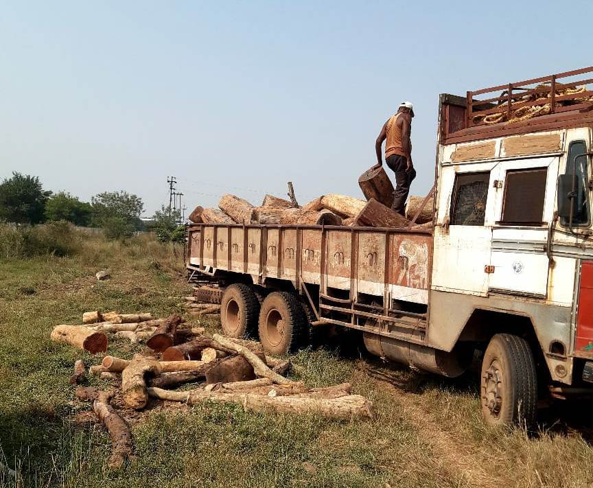 राजधानी के टाटीबंध में 10 लाख रूपए से अधिक मूल्य के खैर तथा तेंदू आदि प्रजाति के लकड़ी का गोला जब्त