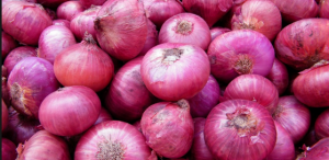 प्रदेश में प्याज की कीमत में नियंत्रण के लिए निरंतर जांच जारी