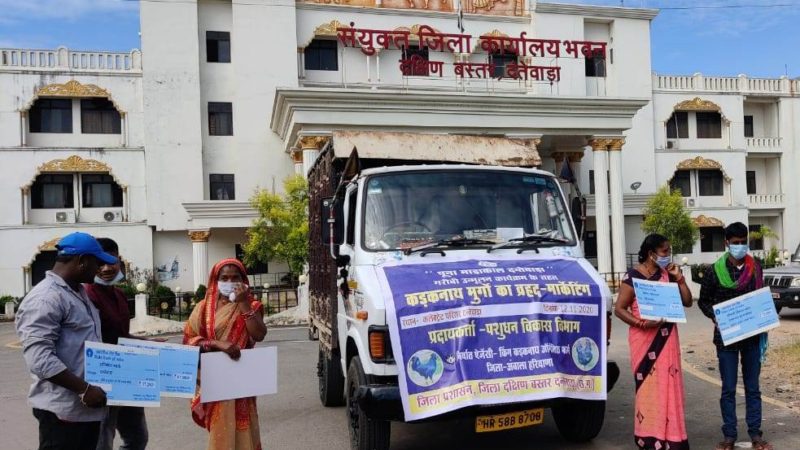 अंबाला को भाया दन्तेवाड़ा का कड़कनाथ मुर्गा