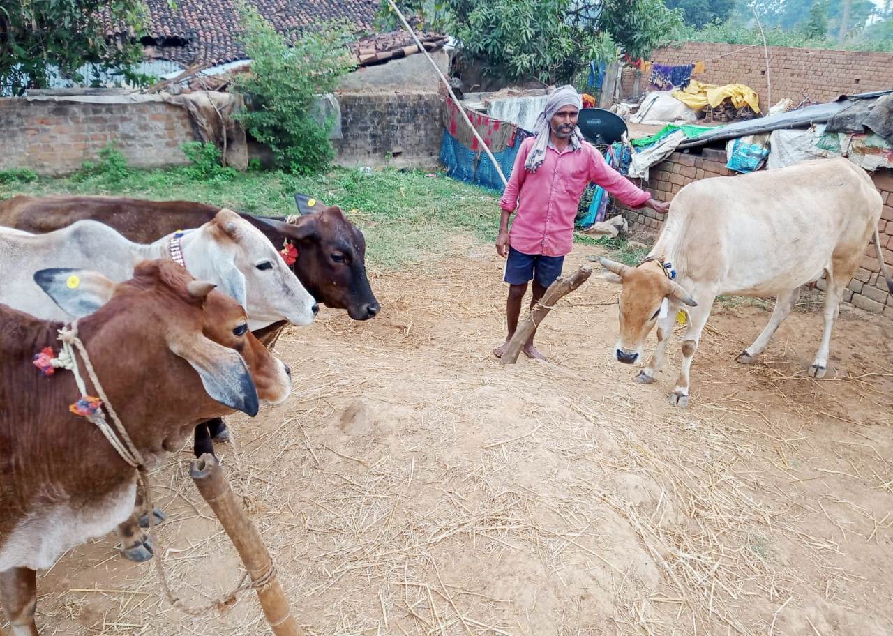 गोबर बेचकर रामनाथ ने कमाया 27 हजार रूपए