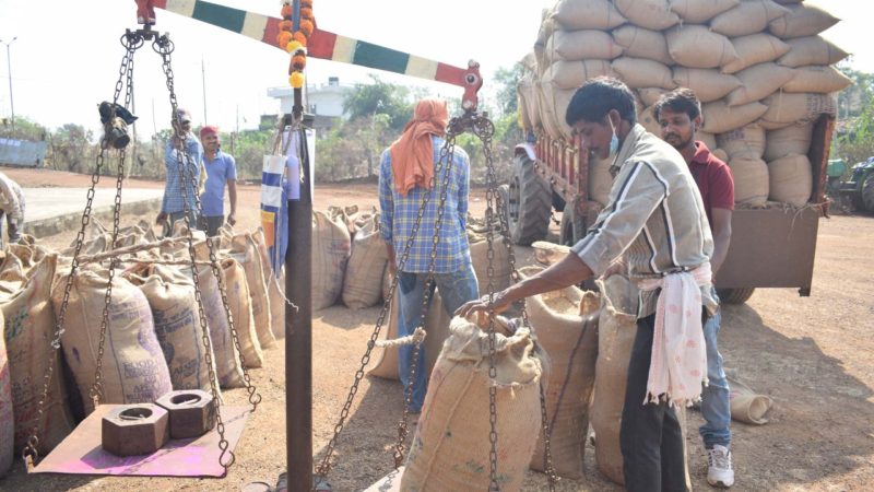 राज्य में धान खरीदी के पहले दिन 30 हजार 446 किसानों ने बेचा धान