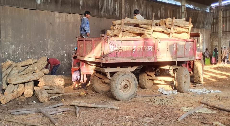 रायपुर के एक गोदाम में अवैध रूप से संग्रहित 30 लाख रूपए से अधिक मूल्य के लकड़ी की जप्ती….वन एवं जलवायु परिवर्तन विभाग की बड़ी कार्रवाई