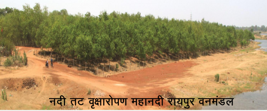 नदी तट रोपण: 28 नदियों के तट पर 11 लाख पौधों का रोपण