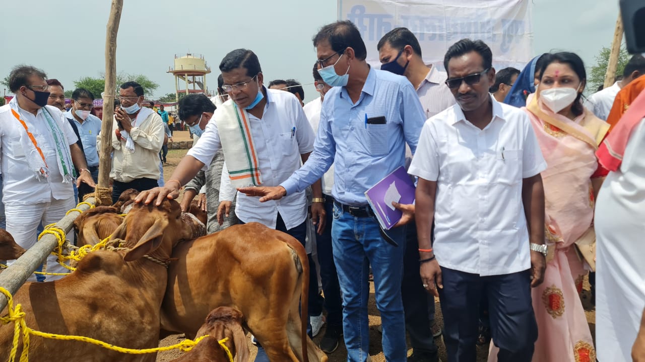 प्रदेश कांग्रेस अध्यक्ष मोहन मरकाम ग्राम पंचायत गोजी कुरूद गोठान में आयोजित हरेली तिहार कार्यक्रम में शामिल हुये