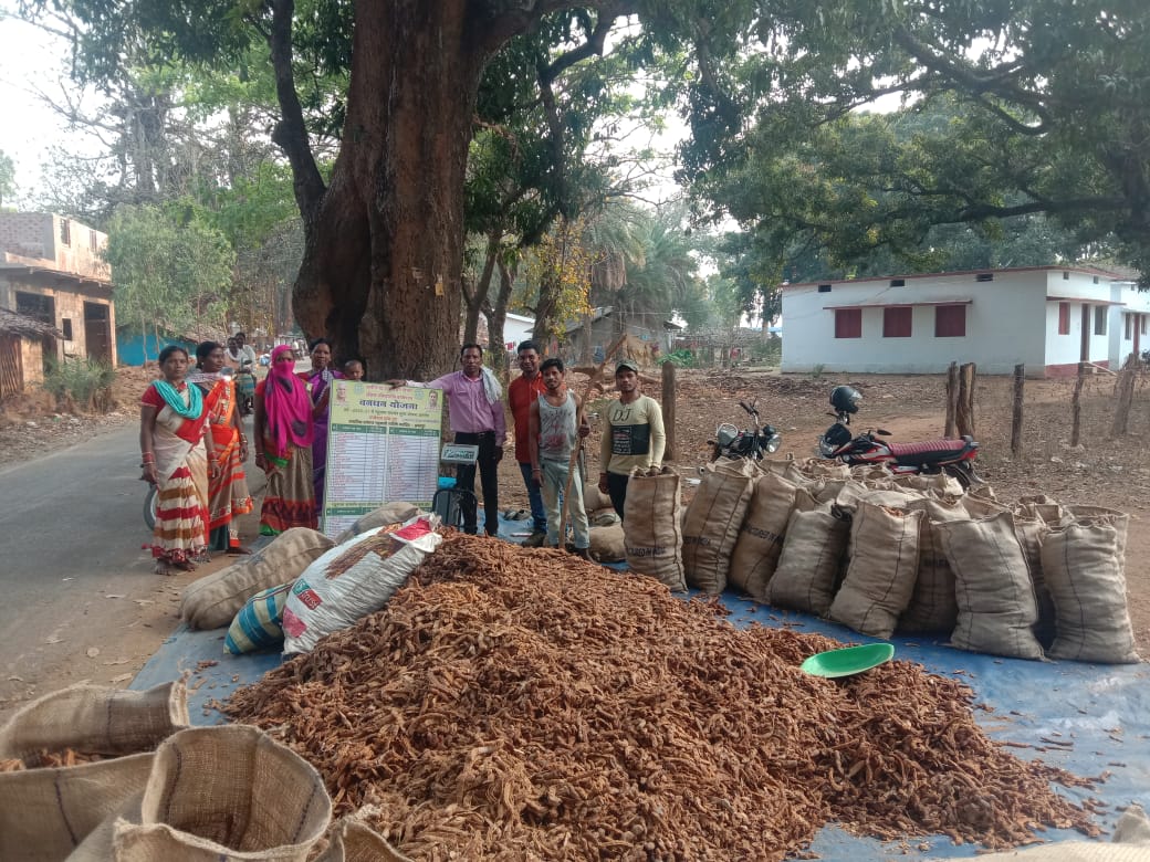 लघु वनोपज का कटोरा कोण्डागांव