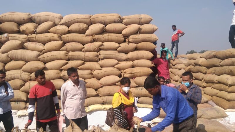 राज्य में अब तक 108.06 लाख मीट्रिक टन धान की खरीदी किसानों को 23,448 करोड़ रूपए का भुगतान, कस्टम मीलिंग के लिए 69.95 लाख मीट्रिक टन धान का उठाव