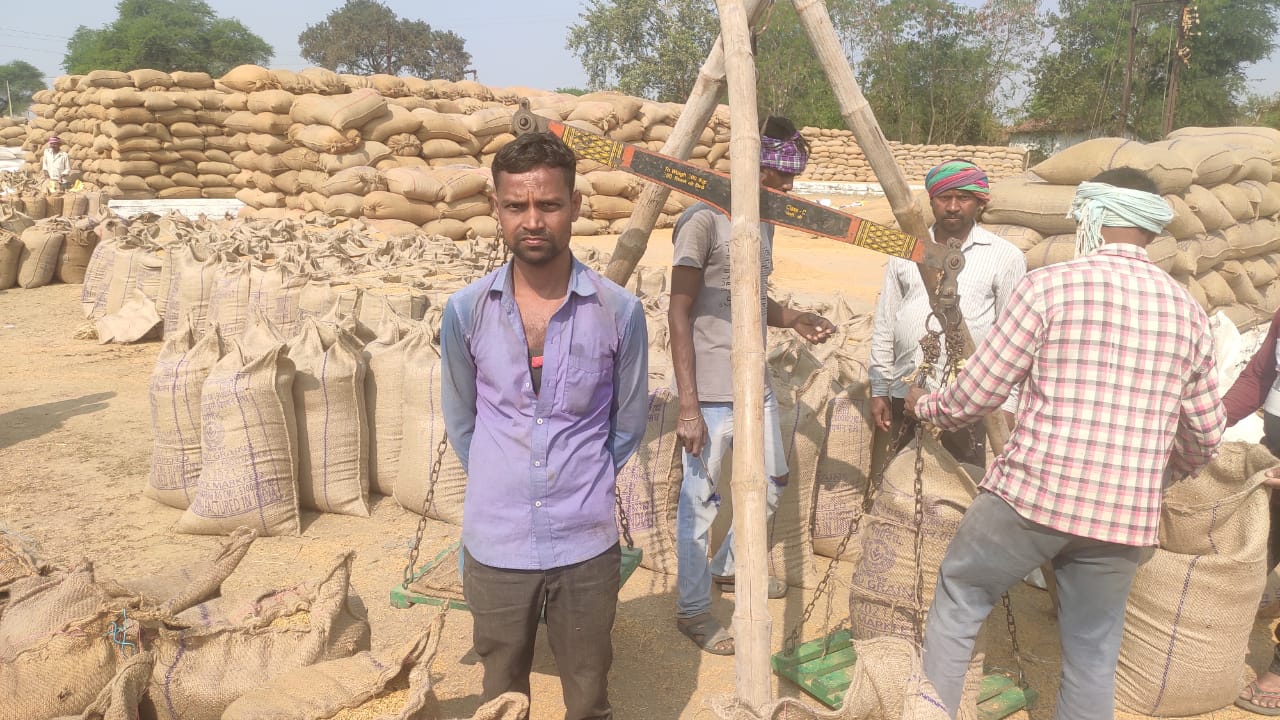 राज्य में 22.31 लाख मीटरिक टन से अधिक धान की खरीदी