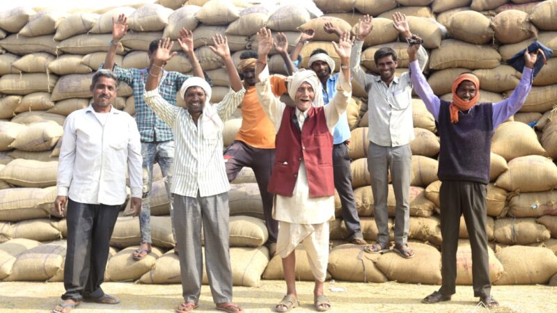 राज्य में 25.08 लाख मीटरिक टन धान की खरीदी
