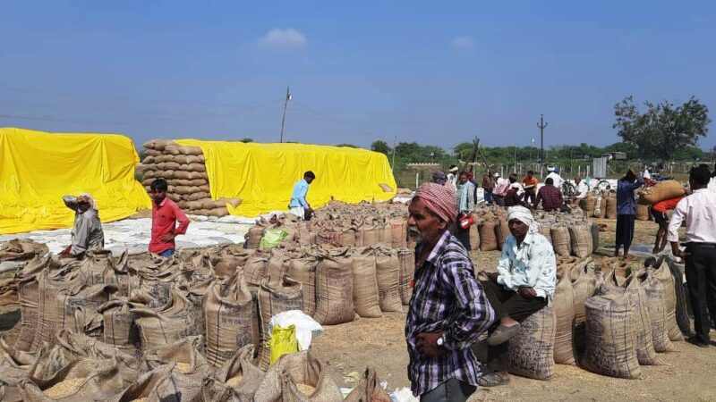 प्रदेश में समर्थन मूल्य पर हो चुकी 50 लाख मीट्रिक टन धान की खरीदी