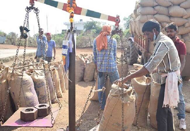 राज्य में अब तक 63.83 लाख मीटरिक टन से अधिक धान की खरीदी…प्रदेश में 16.14 लाख किसानों ने बेचा धान: किसानों को भुगतान के लिए 11634.21 करोड़ रूपए जारी