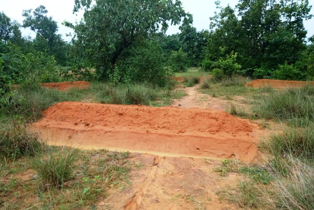 ‘‘नरवा’’ विकास: संवर गया खरधवा नाला का स्वरूप:लेमरू हाथी रिजर्व परियोजना अंतर्गत नाला के 168 हेक्टेयर वन क्षेत्र का उपचार