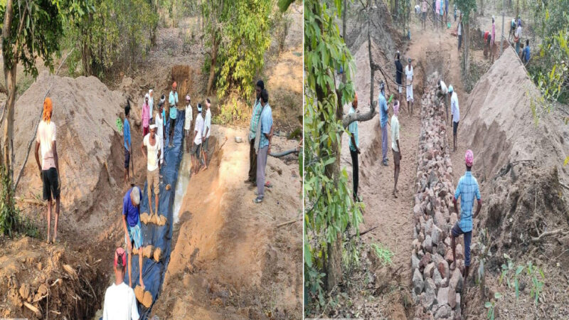 नरवा विकास: वर्ष 2021-22 में कैम्पा मद से 392 करोड़ रूपए की राशि स्वीकृत