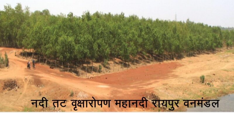 नदी तट वृक्षारोपण कार्यक्रम: वर्ष 2022-23 में 07 करोड़ रूपए की राशि का प्रावधान