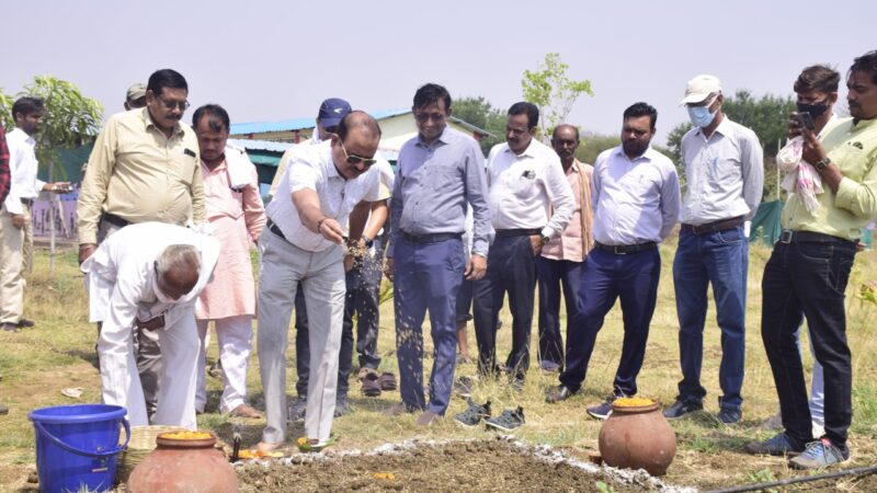 माटी पूजन दिवस के अवसर पर कलेक्टर ने वृंदावन गौठान अंजोरा, एकीकृत सुविधा केन्द्र नवागांव, कामधेनु गौठान बघेरा, एकीकृत सुविधा केन्द्र सुकुलदैहान में माटी की पूजा अर्चना की