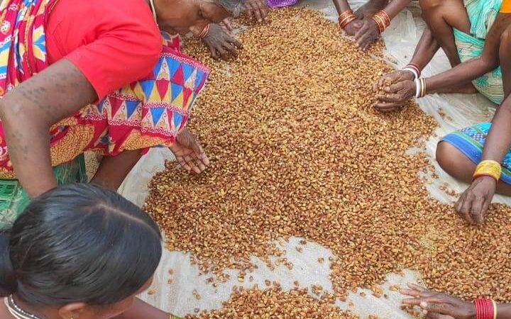 भेंट-मुलाकात: वनवासियों को मिली एक और महत्वपूर्ण सौगात