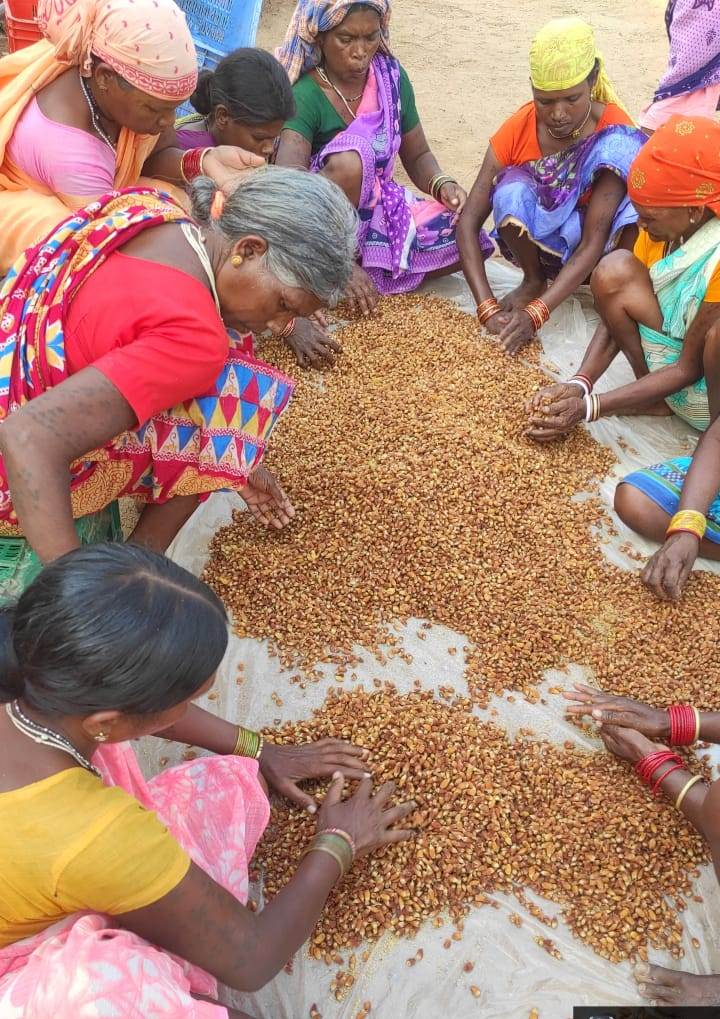 भेंट-मुलाकात: वनवासियों को मिली एक और महत्वपूर्ण सौगात