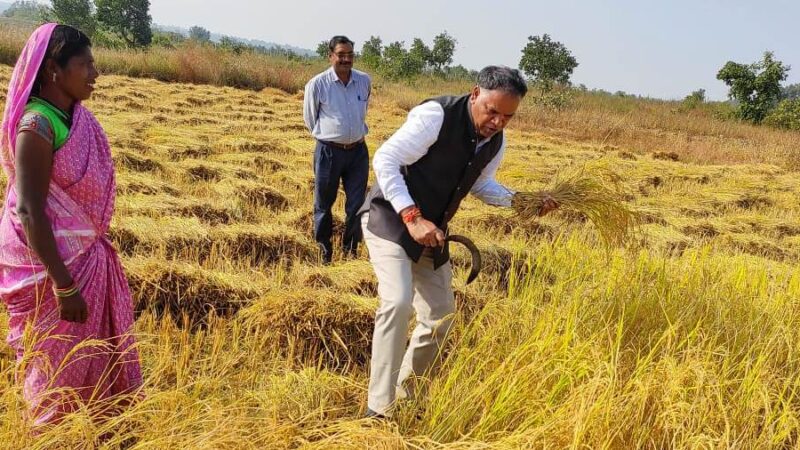 किसानों से खेत की नमी का फायदा उठाकर उतेरा फसलों की बुआई की अपील