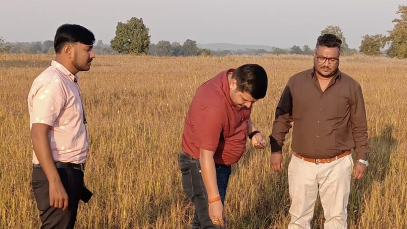 मिलेट को बढ़ावा देने के मामले में छत्तीसगढ़ को मिल चुका है देश के सर्वश्रेष्ठ उदीयमान राज्य का सम्मान 