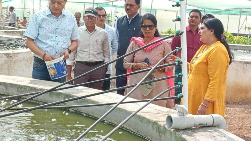 बलौदाबाजार भाटापारा के रामपुर में लगभग 100 एकड़ में स्थापित किया गया है एक्वा जेनेटिक्स