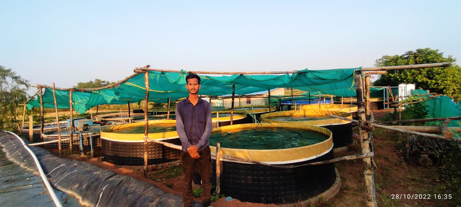 सफलता की कहानी: मछली पालन के प्रति युवाओं का बढ़ा रूझान