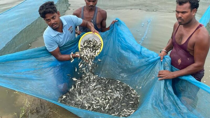 हरे बस्तर में हो रही नीली क्रांति
