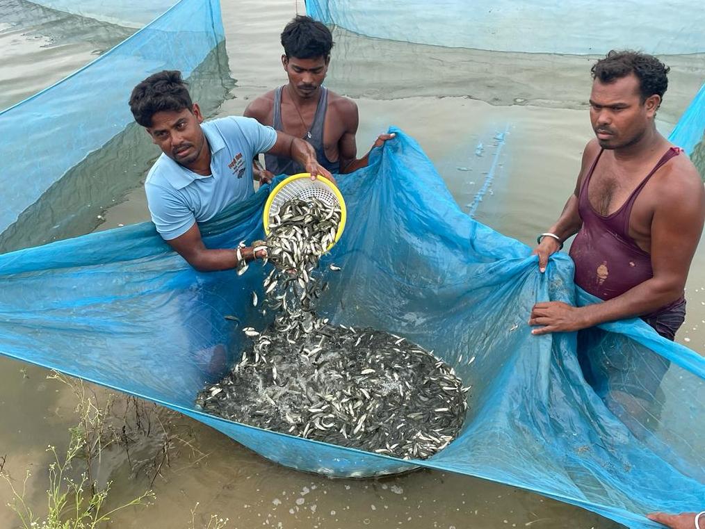 हरे बस्तर में हो रही नीली क्रांति