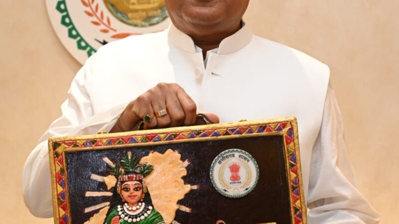 स्पेशल स्टोरी : छत्तीसगढ़ी संस्कृति के रंग से रंगे ब्रीफकेस से निकला भरोसे का बजट
