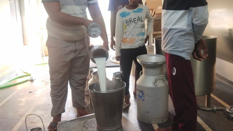ग्रामीण औद्योगिक पार्क गोड़बहाल में दुग्ध प्रसंस्करण केंद्र की हुई स्थापना