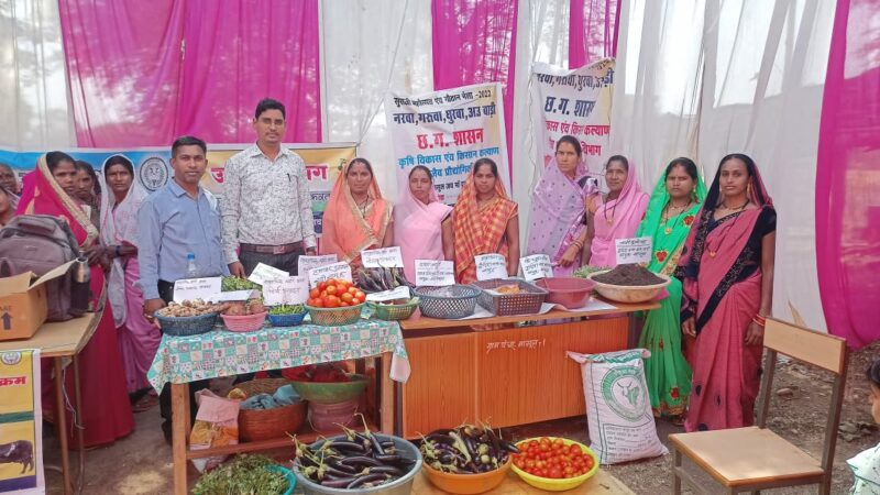 गोधन न्याय योजना: आर्थिक रूप से कमजोर किसान, पशुपालक, श्रमिक, दिहाड़ी कामकाजी महिलाओं के लिए बनी संबल