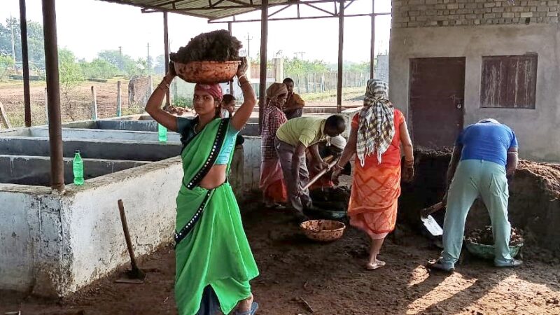 गौठान बना समूह की महिलाओं के लिए आमदनी का जरिया