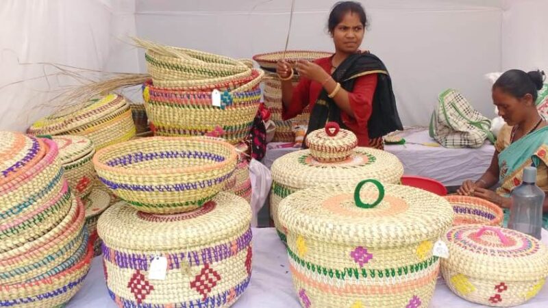 महिला सम्मेलन पर विशेष:छत्तीसगढ़ में महिला सशक्तिकरण के नये आयाम- रीनू ठाकुर, सहायक जनसम्पर्क अधिकारी