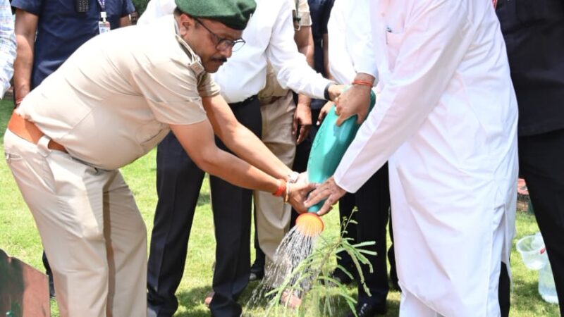 विश्व पर्यावरण दिवस: मुख्यमंत्री ने अपने निवास परिसर में रोपा आंवला का पौधा