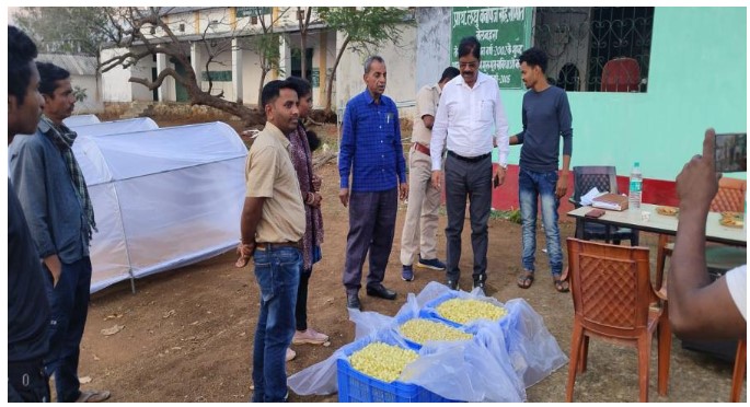 राज्य में फूड ग्रेड महुआ फूल के संग्रहण में मनेन्द्रगढ़ वनमंडल रहा प्रथम