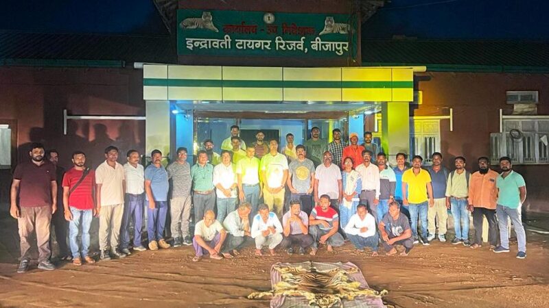 बीजापुर के मद्देड़ बफर रेंज में बाघ के खाल के साथ 10 गिरफ्तार